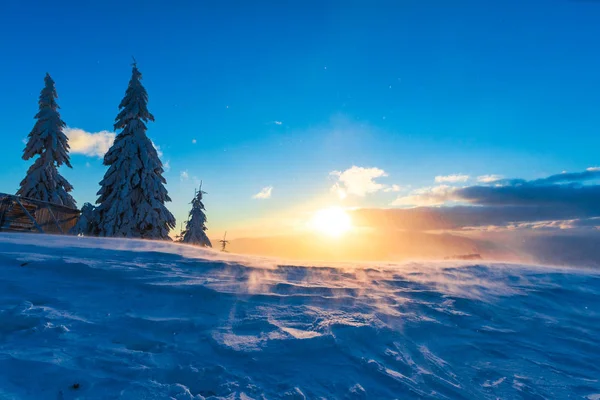 Snötäckta Granar Vinter Berg Och Solnedgång Sky — Stockfoto