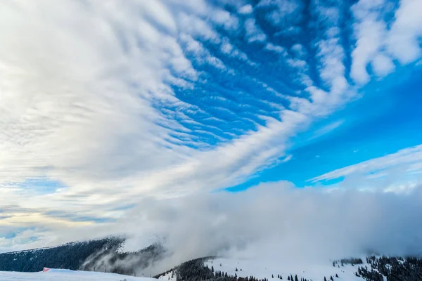Montagne Invernali Innevate Romania — Foto Stock