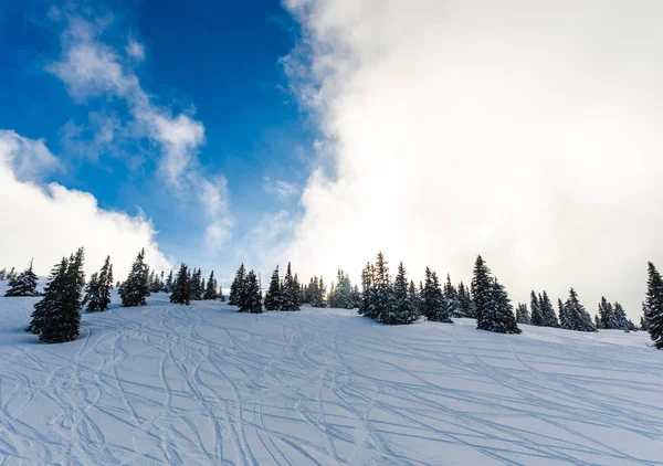 Montañas Invierno Con Abetos Nevados Fondo Natural Con Bosque Coníferas — Foto de Stock