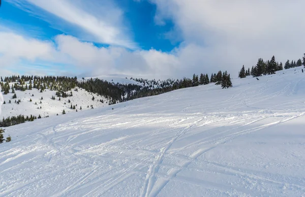 Winterberge Mit Schneebedeckten Tannen Natürlicher Hintergrund Mit Nadelwald — Stockfoto