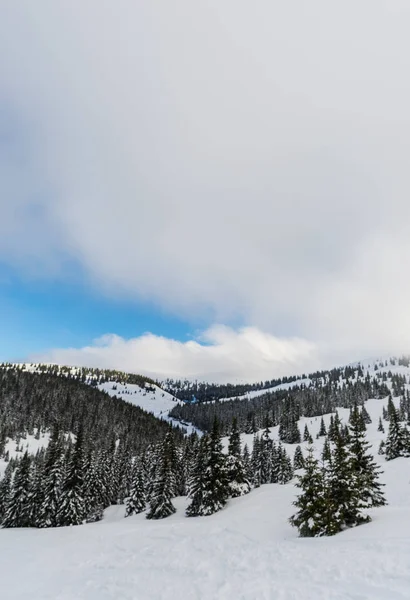 Montañas Invierno Con Abetos Nevados Fondo Natural Con Bosque Coníferas — Foto de Stock