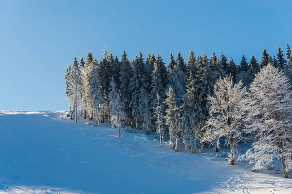 Montagne Invernali Con Abeti Innevati Sfondo Naturale Con Foresta Conifere — Foto Stock