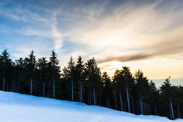 Bosque Montañoso Invierno Árboles Nieve Cubierto Paisaje — Foto de Stock