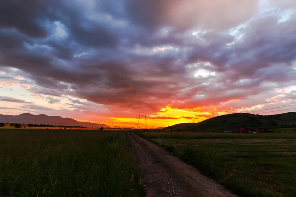 Poteaux Électriques Sur Terrain Avec Coucher Soleil Ciel Arrière Plan — Photo