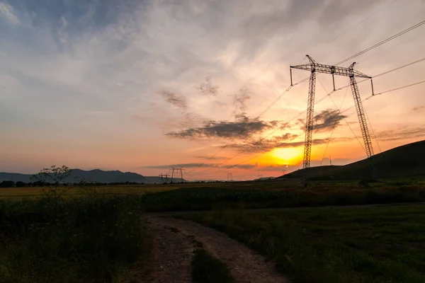 Electric poles on field with sunset sky background.
