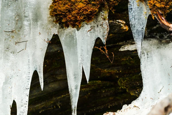 Fundir Los Carámbanos Invierno —  Fotos de Stock