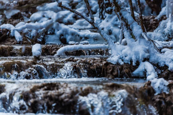 Details Van Winterbos Natuurlijke Achtergrond — Stockfoto