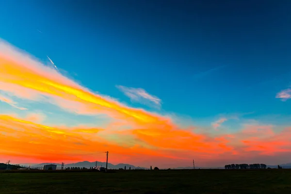 Field Electricity Poles Sunset — Stock Photo, Image