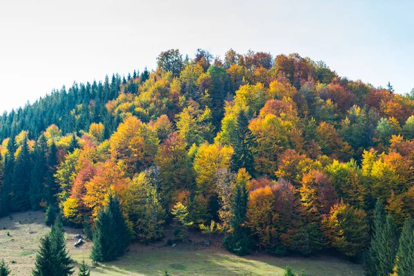 Őszi Hegyekkel Mezőkkel Színes Fák — Stock Fotó