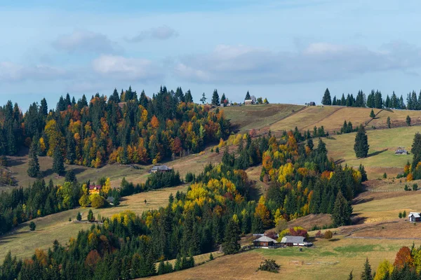 Herfst Heuvels Velden Met Kleurrijke Bomen — Stockfoto