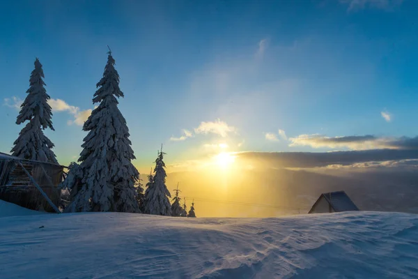 Зимний Снежный Пейзаж Гор Деревьями Деревянной Хижиной — стоковое фото