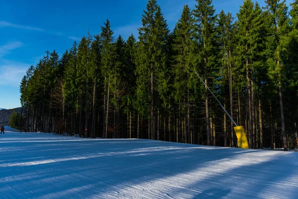 Bomen Karpaten Winterseizoen — Stockfoto