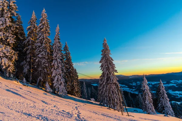 Árboles Cubiertos Nieve Temporada Invierno Montaña — Foto de Stock