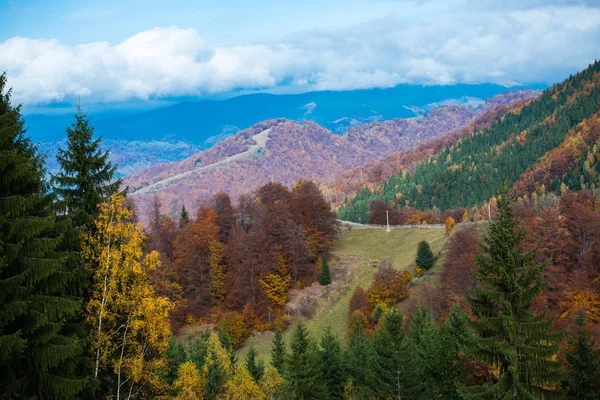 Podzimní Krajina Barevné Stromy Podzim — Stock fotografie