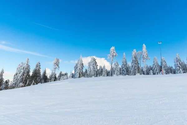 Montañas Invierno Con Abetos Nevados — Foto de Stock