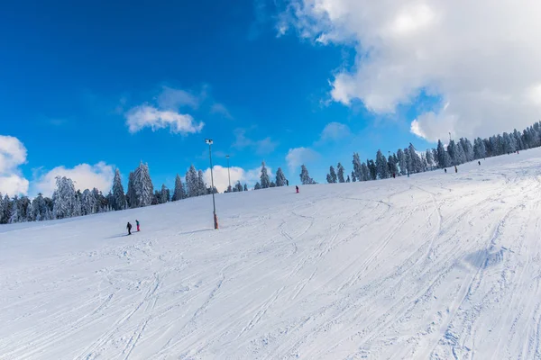 Winterskigebiet Predeal Clabucet Rumänien — Stockfoto