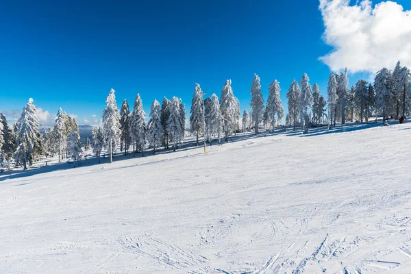 Montañas Invierno Con Abetos Nevados — Foto de Stock