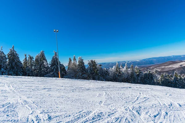 Winter Bergen Met Besneeuwde Sparren — Stockfoto