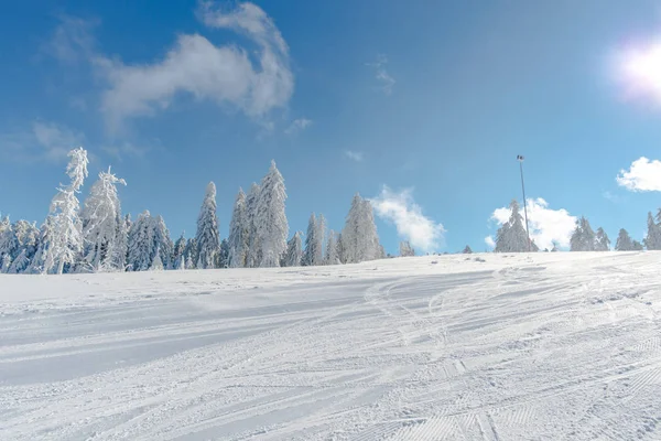 Montañas Invierno Con Abetos Nevados — Foto de Stock