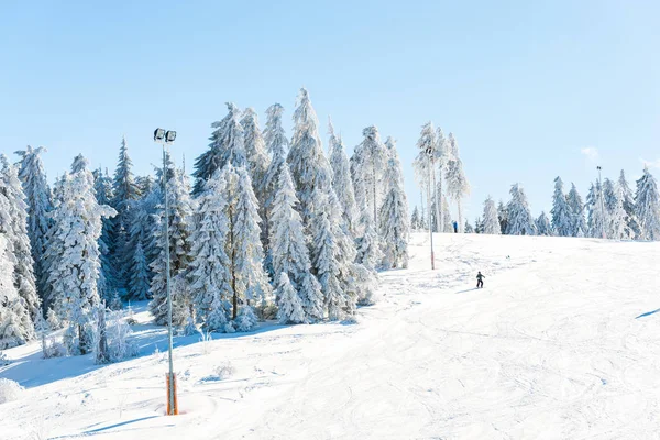Romanya 'nın Clabucet kentinde kış kayak merkezi.