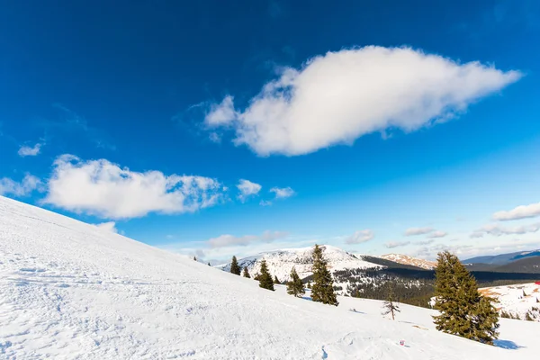 Montañas Invierno Con Abetos Nevados — Foto de Stock