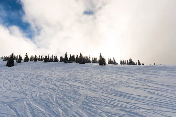 Montañas Invierno Con Abetos Nevados — Foto de Stock