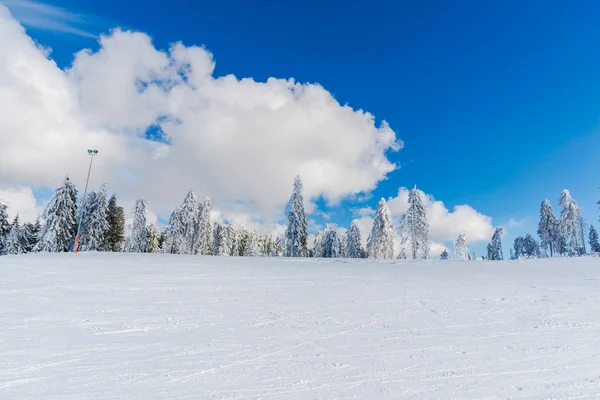 Montañas Invierno Con Abetos Nevados — Foto de Stock