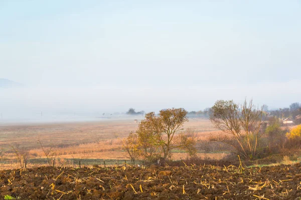 Foggy Collines Automnales Champs — Photo