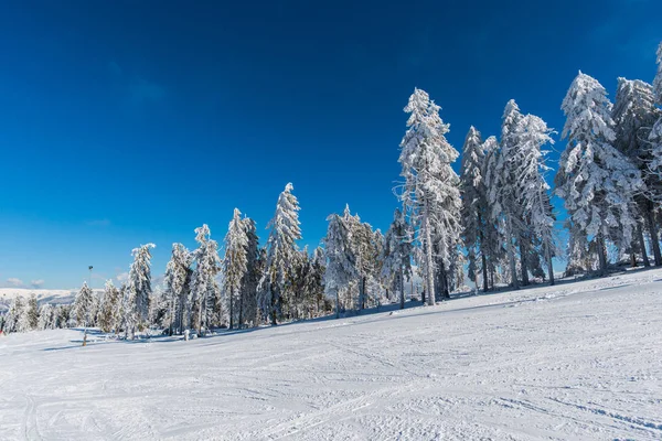 Invierno Montañas Estación Esquí Árboles — Foto de Stock