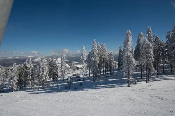 Inverno Montagna Stazione Sciistica Alberi — Foto Stock