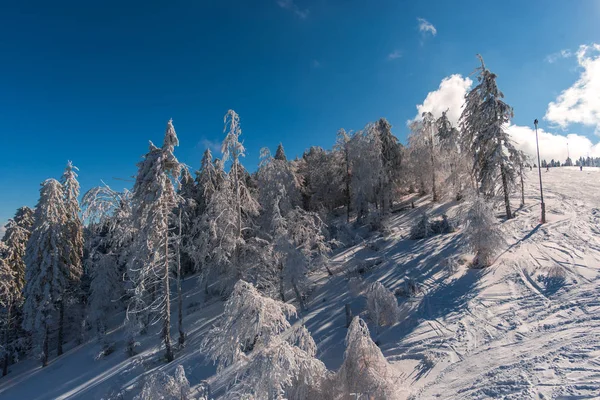 Winter Met Sneeuw Bedekte Bomen Bos Bergen — Stockfoto