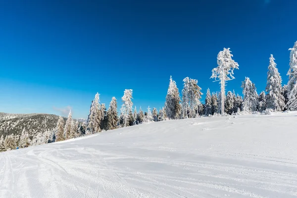 Winter Bergen Skigebieten Und Bäumen — Stockfoto