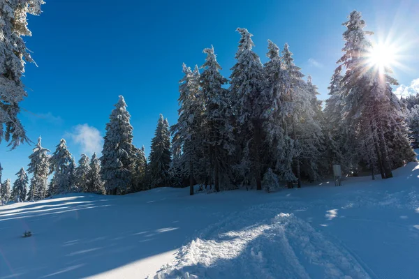 Montañas Nevadas Invierno Rumania — Foto de Stock