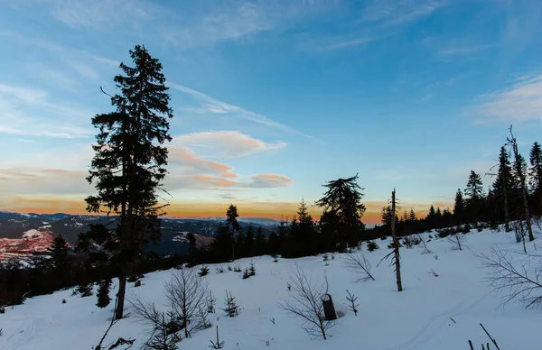 Montanhas Floresta Tempo Inverno Árvores Neve Paisagem Coberta — Fotografia de Stock