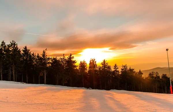 Berg Skogen Vintertid Med Träd Och Sunset — Stockfoto