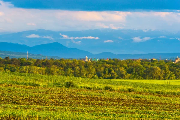 Paisagem Campo Primavera — Fotografia de Stock