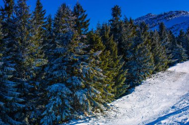 karlı kış dağlar Romanya