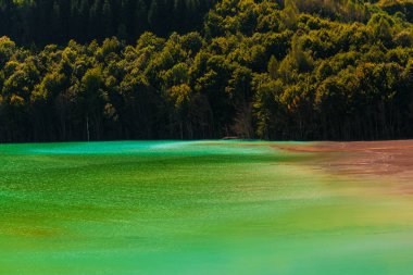 ekolojik zehirli kirli göl su, ekosistem kirliliği Romanya