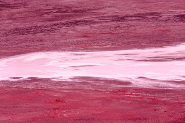 tam kare, pembe zehirli kirli göl yüzeyi 