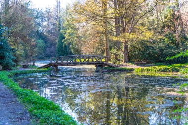 Parlak ağaçlar yeşillik ve küçük ahşap köprü Nehri üzerinden sonbahar park