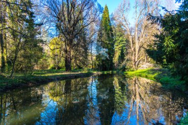 Parlak ağaçlar yeşillik ve küçük ahşap köprü Nehri üzerinden sonbahar park