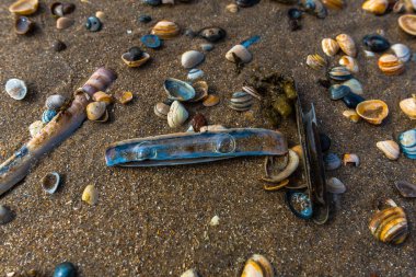 Deniz manzaralı kumlu plaj, yakın manzara.