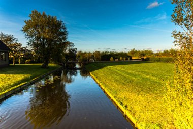Nehir, izve ağaçlar ile Sonbahar arka plan.