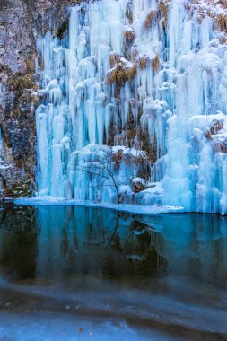Kışın donmuş orman şelale