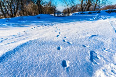 Kışın kırsal arka plan, Romanya.