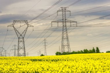 sarı alanda elektrik direkleri 