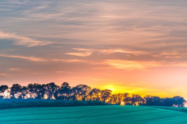 huzurlu günbatımı sky çayır ağaçları ile yukarıda 