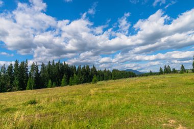 Yaz aylarında kırsal, doğa manzara.