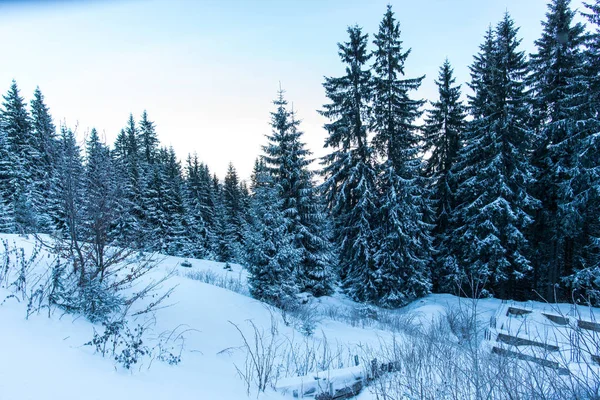 Montanhas Nevadas Inverno Roménia — Fotografia de Stock