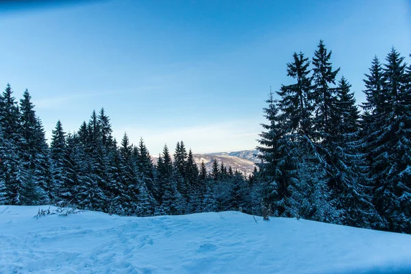 Montañas Nevadas Invierno Rumania — Foto de Stock